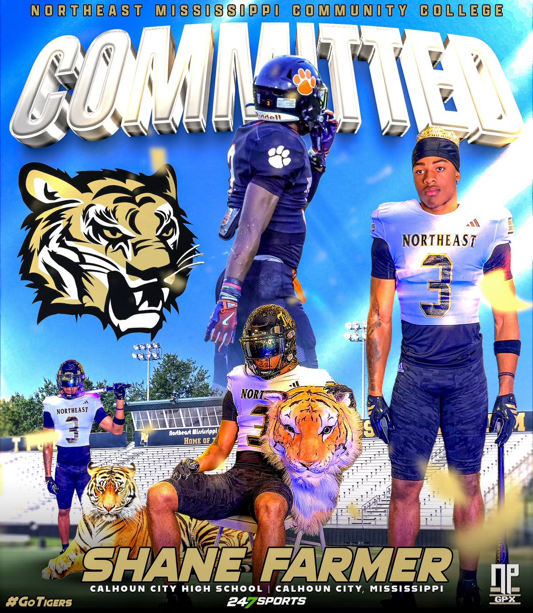 Shane🖤🐅 tweet media