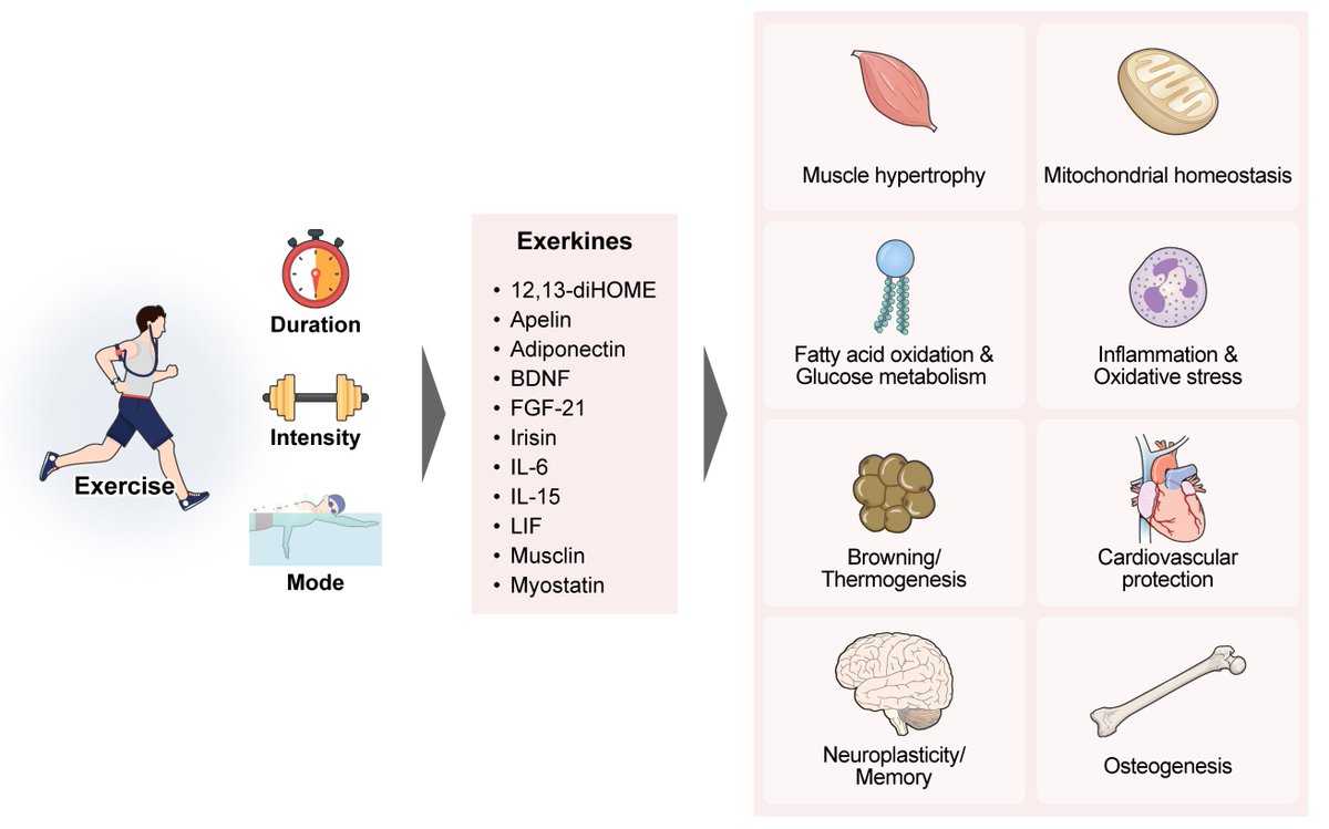 Agingdoc🩺Dr David Barzilai🔔MD PhD MS MBA DipABLM tweet media