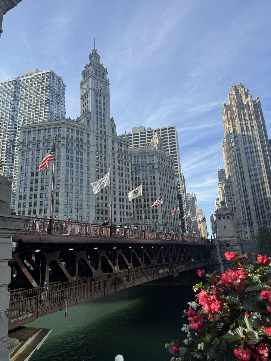 iammuratdde's tweet photo. @tugce190333 CHICAGO , IL https://t.co/x8As4g6Dya