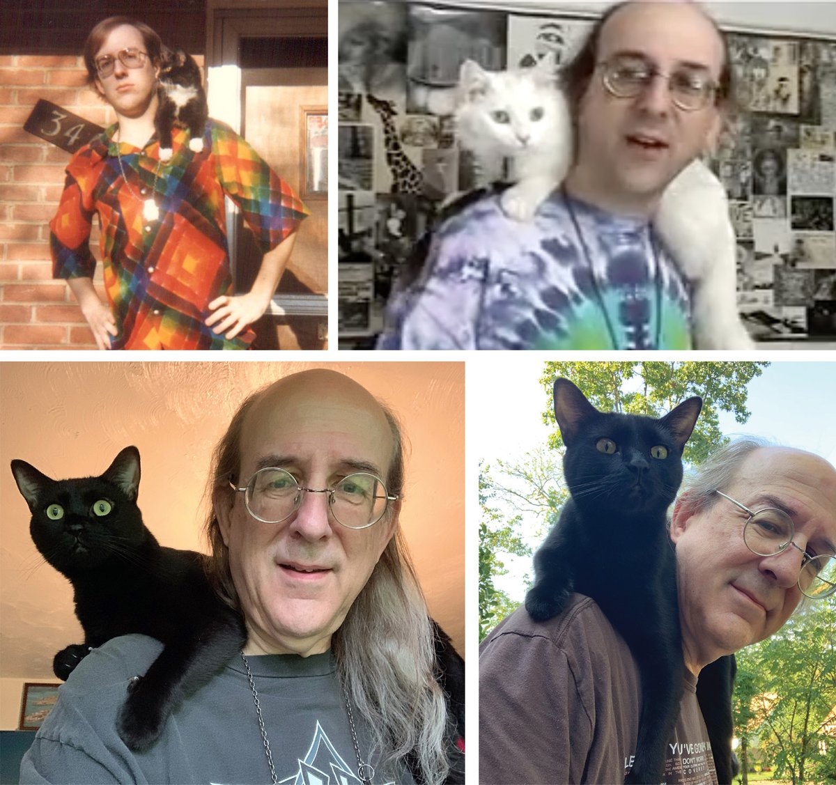 I’ve posted the January update to my book-in-progress (How To Be A. Looney). It’s a chapter called How To Train a Cat to Ride on Your Shoulders:
patreon.com/posts/147983256