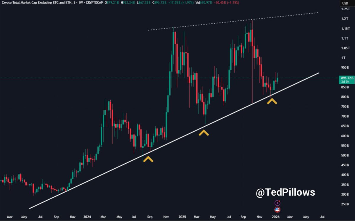 Altcoin MCap is still holding above its long-term support trendline.

If $BTC holds above the $95,000 level, I think a relief rally in alts will happen.