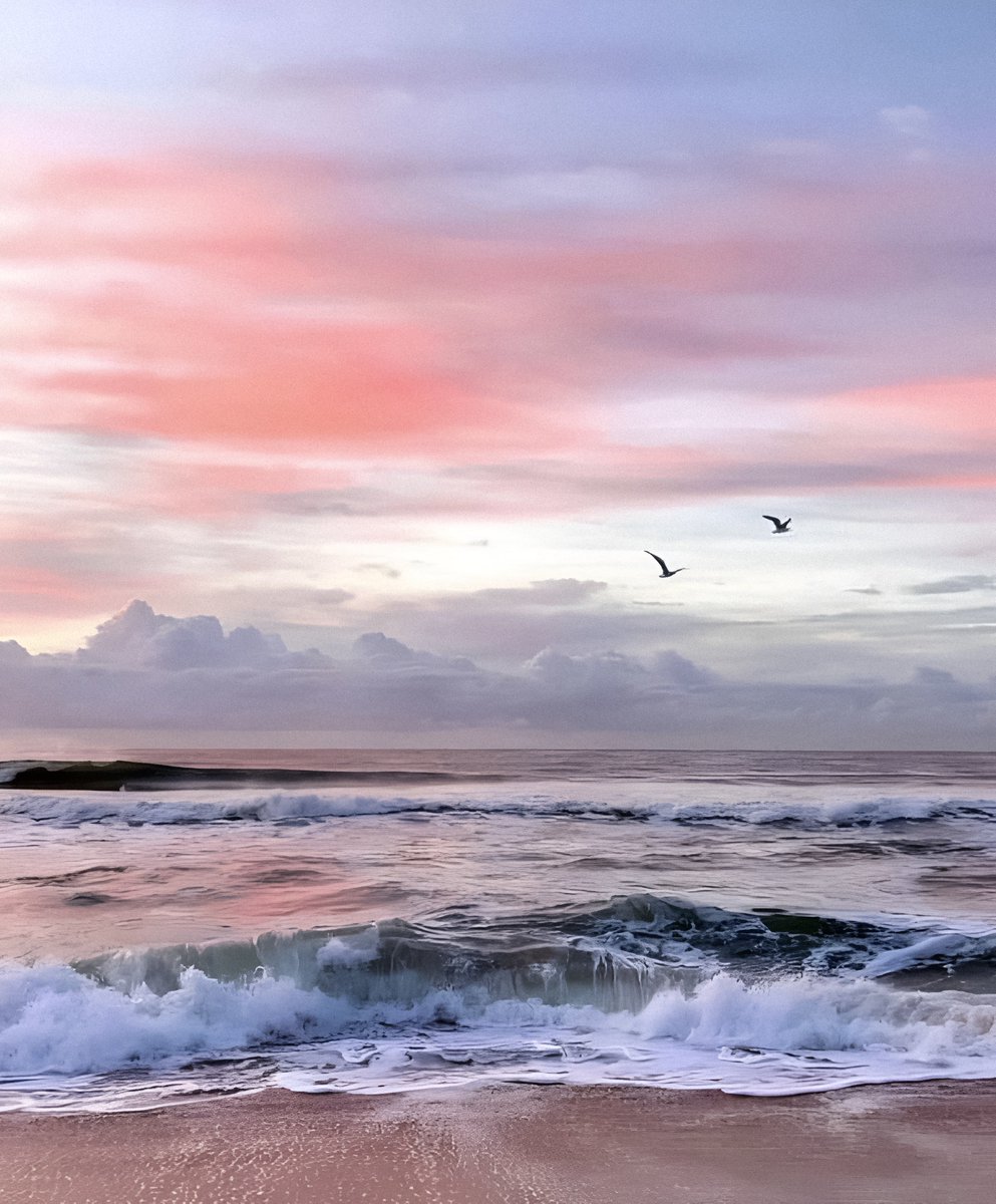 gardenofcolours's tweet image. 