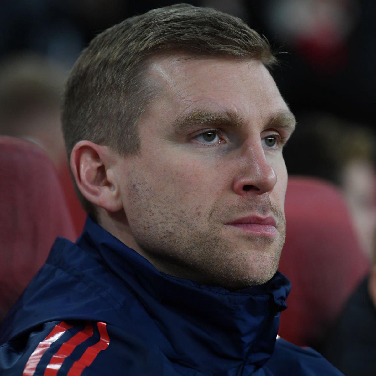 DailyAFC's tweet photo. 🚨 Per Mertesacker’s departure was NOT entirely surprising for Arsenal insiders. As he started in such a senior position, there was no obvious pathway to progress at Arsenal. He wasn’t considered as a candidate for sporting director or technical director last year. [@gunnerblog] https://t.co/2Do6bOiliz