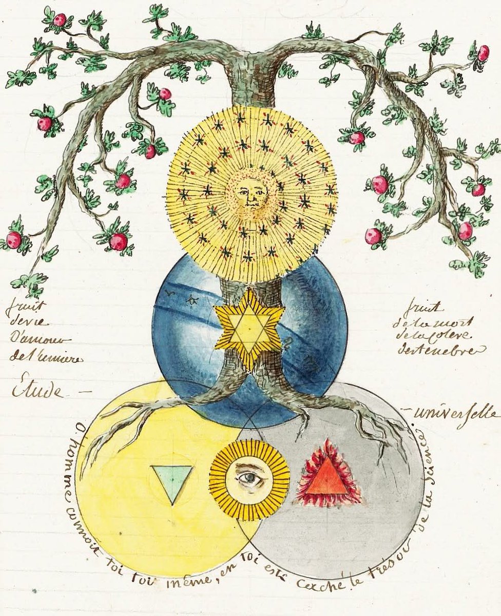 Tree of Fortune (URL：g.cc).hes