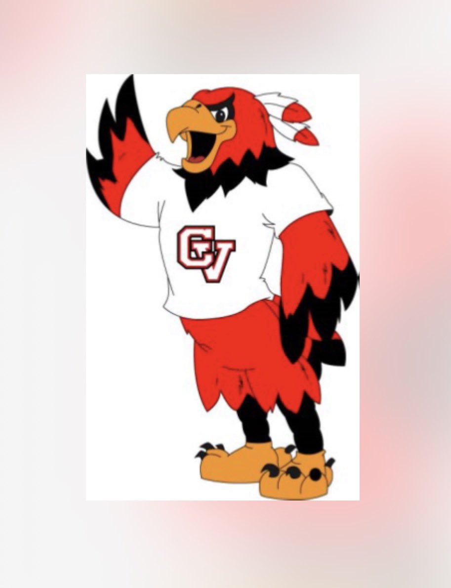 Chippewa Valley Softball tweet media