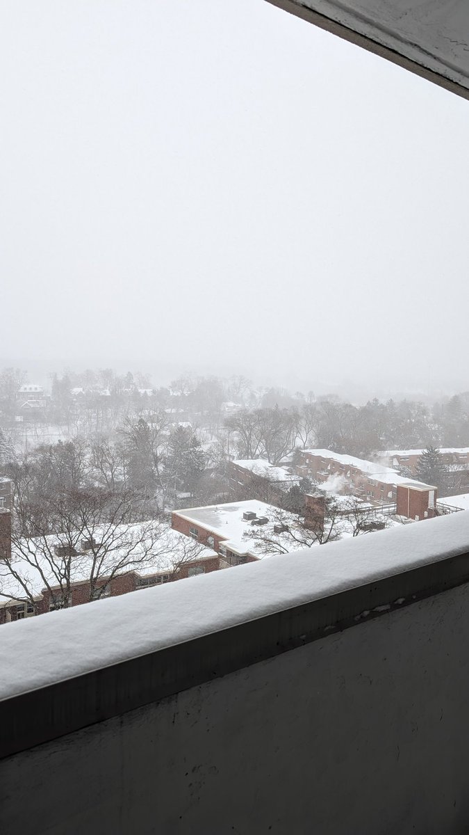 The lack of skyline or even most of High Park is pretty much in line with the mess on the way. 🙄