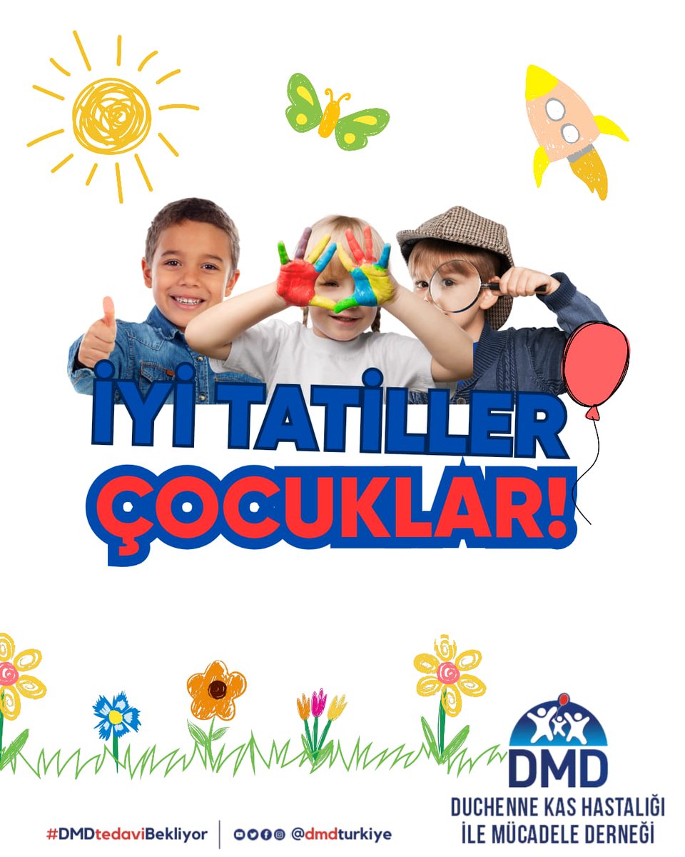 DMD Türkiye tweet media