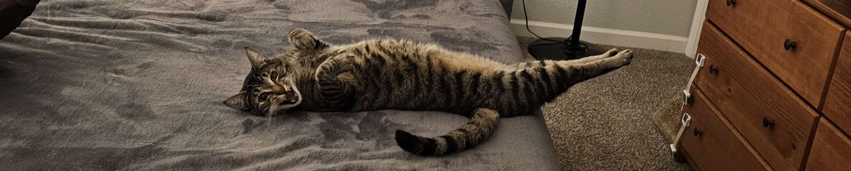 Astro Panda tweet media