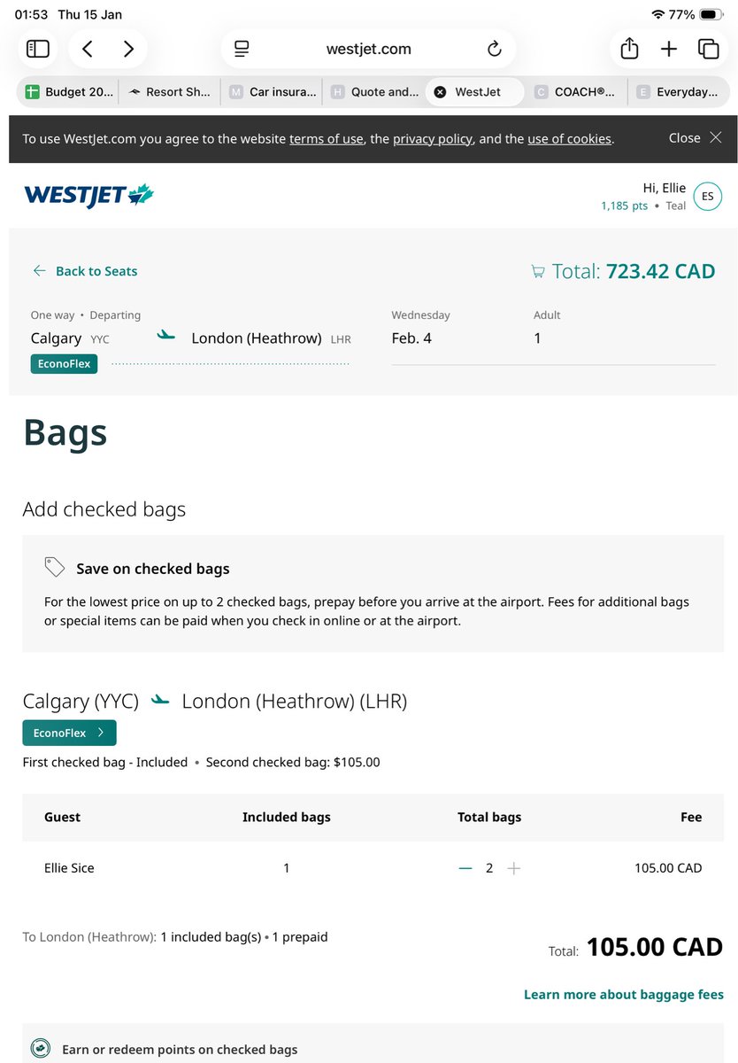 pumpkinspice__'s tweet photo. @WestJet hiya! Can you please confirm that the additionally $105 checked bag can be for ski equipment? (Skis, poles, helmet etc) https://t.co/HDPrdryqXa