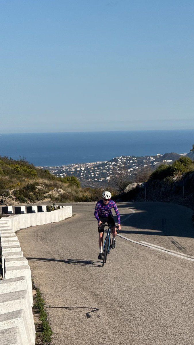 Scott Ogden tweet media