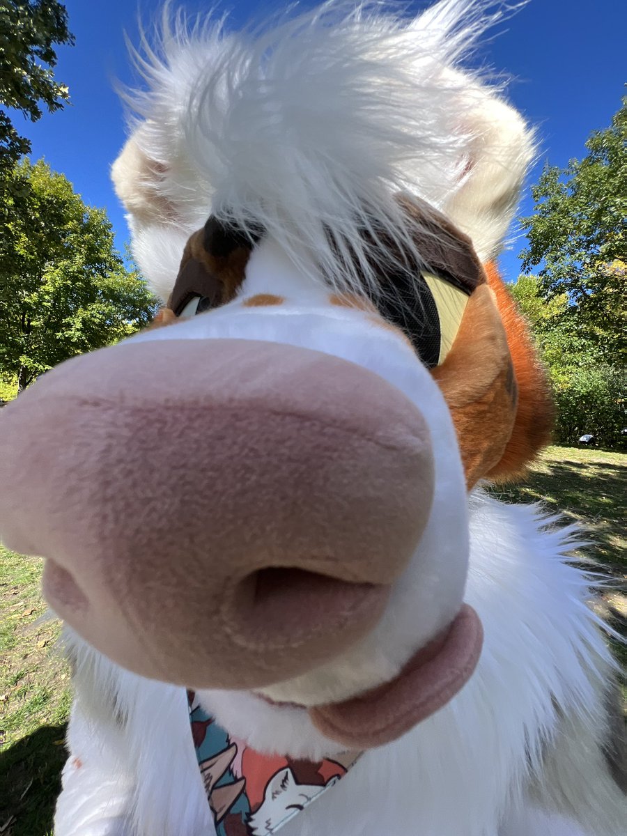 GNAW ‼️ tweet media