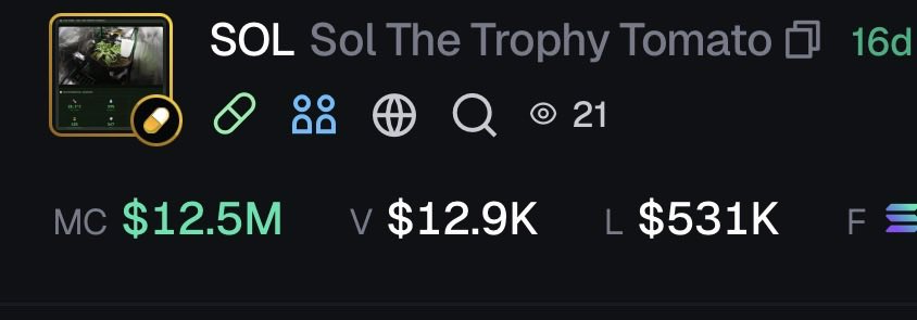A plant coin just ran to $12M.
Buy the monkey and don’t stare at the chart for a week.
<a href="/apebyclaude/">Akim</a> — lock in and let’s do this the right way.
Once we’re flying, we can use the fees to donate to monkey charities and turn this project into something genuinely good.