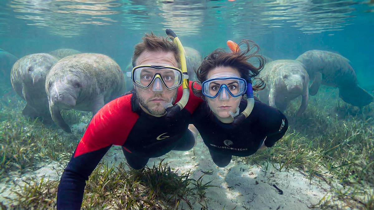 The Adventure Crews tweet media