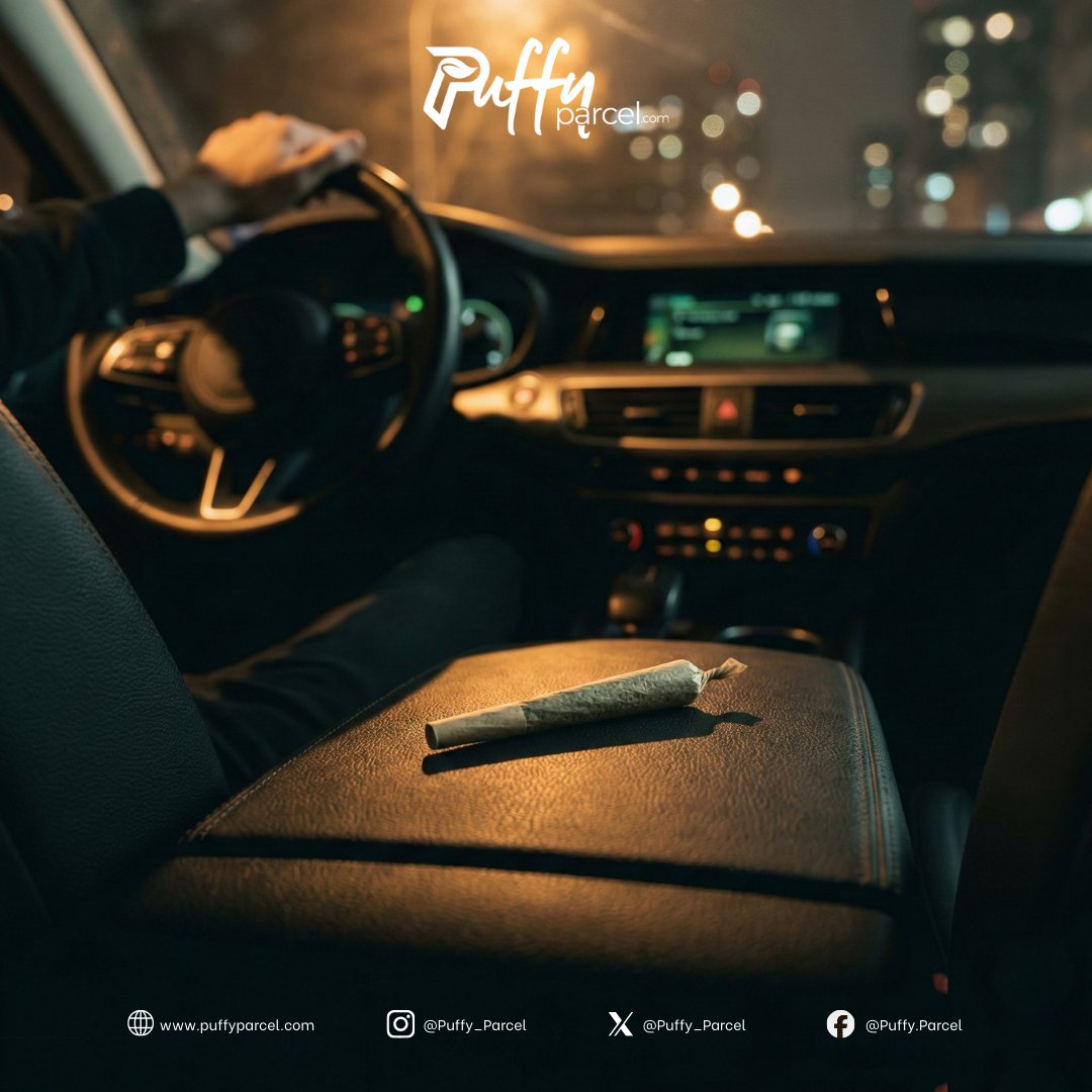 Puffy_Parcel's tweet image. Engine off. Music still on.
You get it.

See what people keep nearby → puffyparcel.com

#PuffyParcel #RealLife