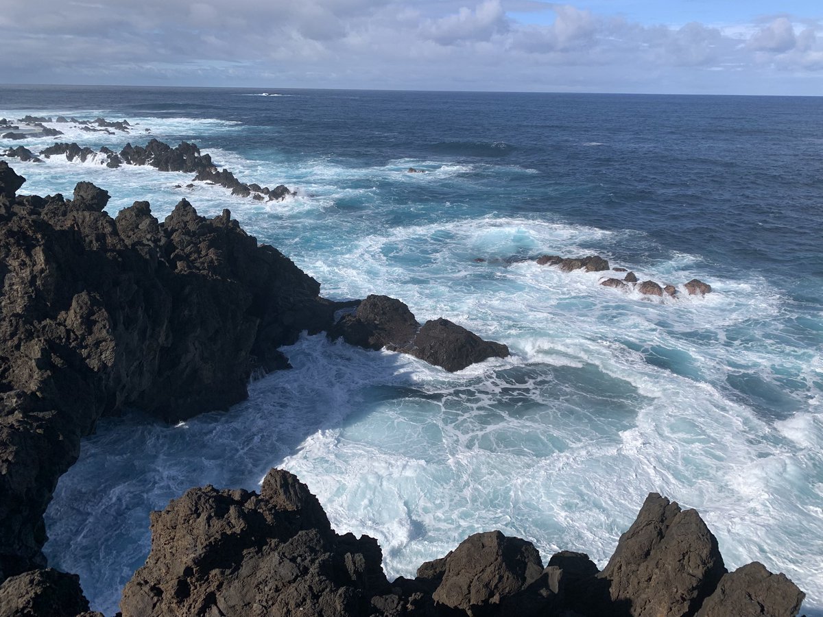 rocky985's tweet image. A few randoms from Madeira Island, Portugal. What a paradise! 🇵🇹😎❤️ #Portugal #NeverStopExploring