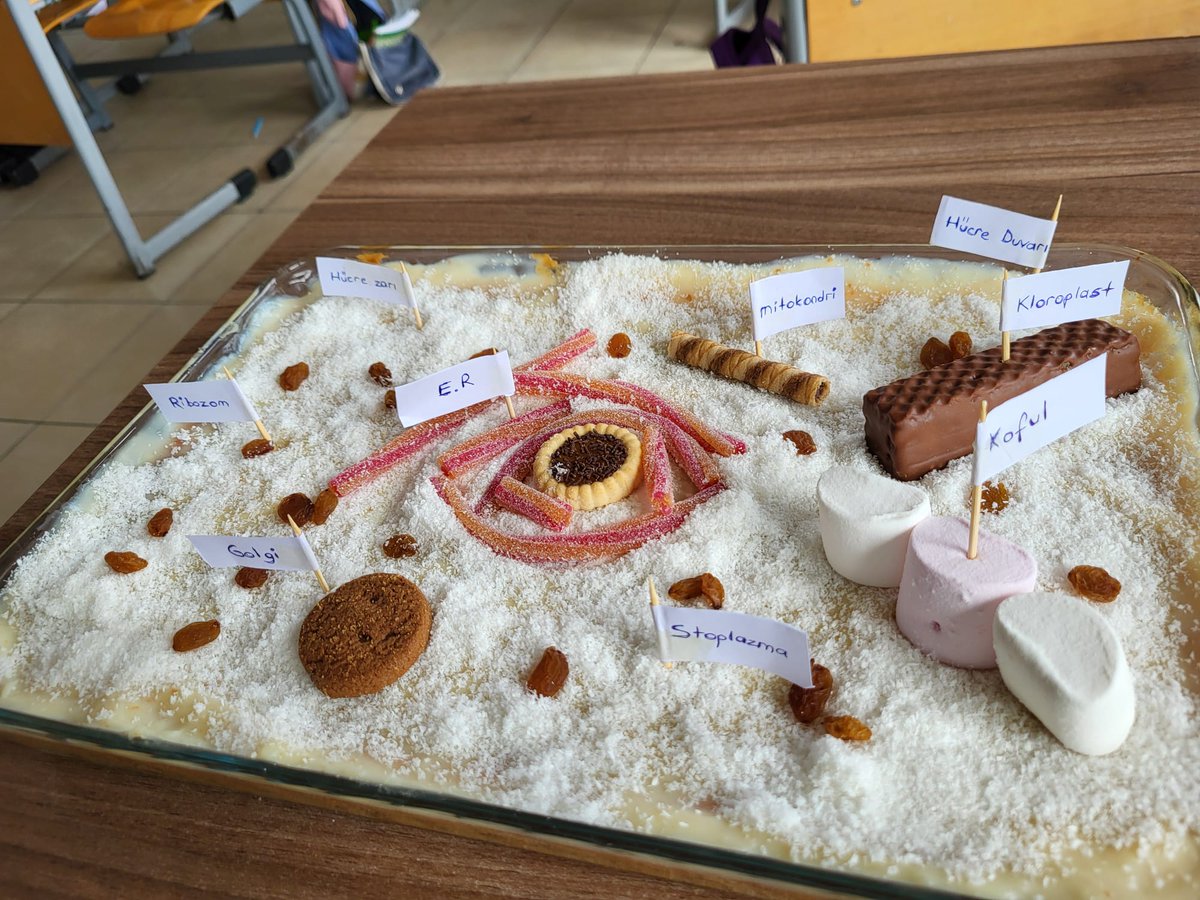bozuyukprojeihl's tweet photo. Dönem sonu etkinliklerinde, Bozüyük kışında sıcacık salep ikramı ve sürprizlerle devam ediyor. 

@Yusuf__Tekin
@CelileErenOKTEN
@meb_dinogretimi
@drahmetisleyen
@bilecikmem
@srdl_simsek
@bozuyukilcemem
@servetcetinkaya https://t.co/Z6vaJTnoly