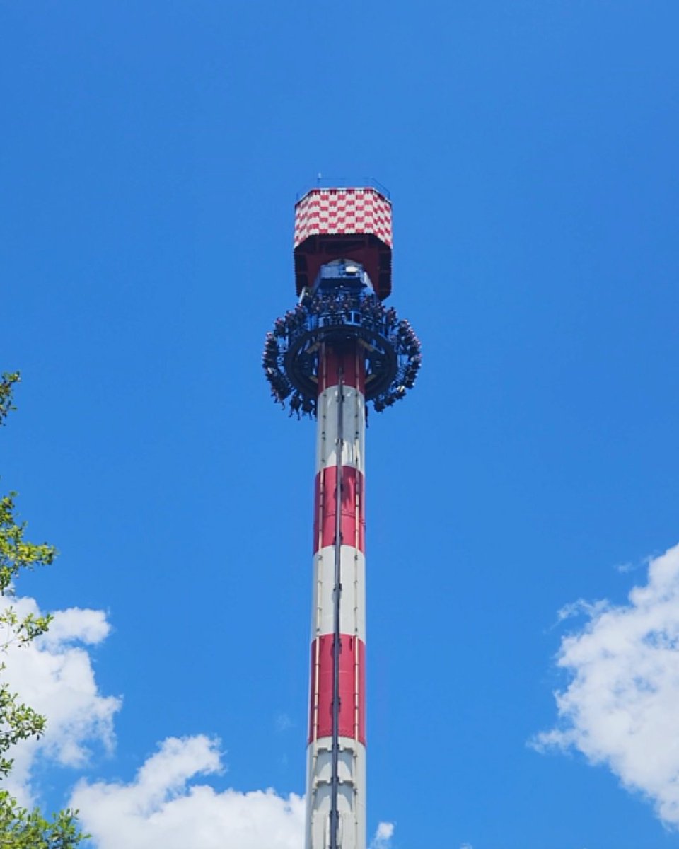 Six Flags Over Georgia tweet media