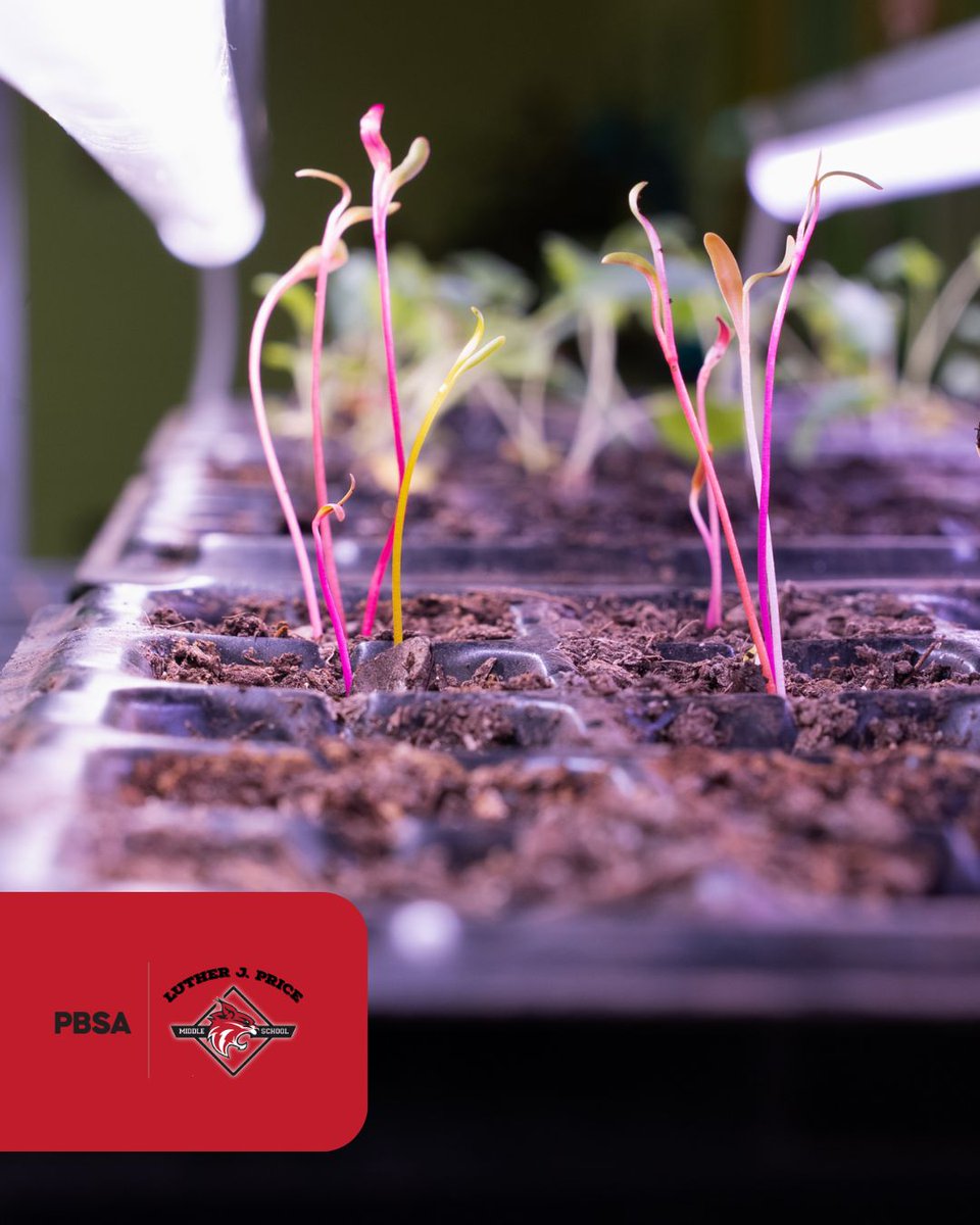 Price Middle School tweet media