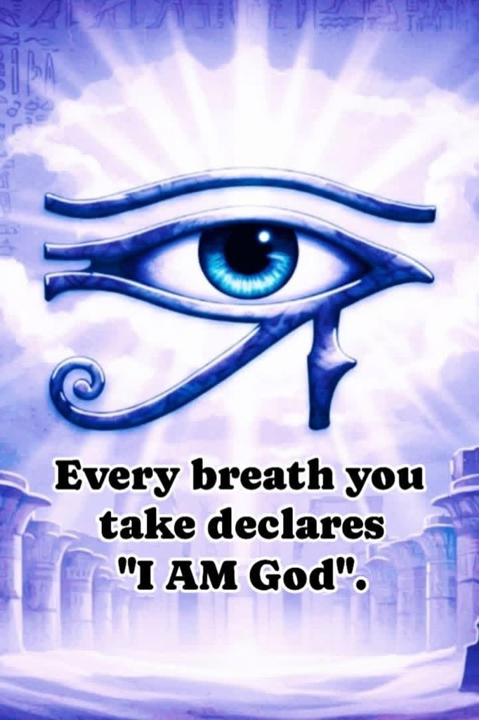 🧬Maxpein🧬 tweet media