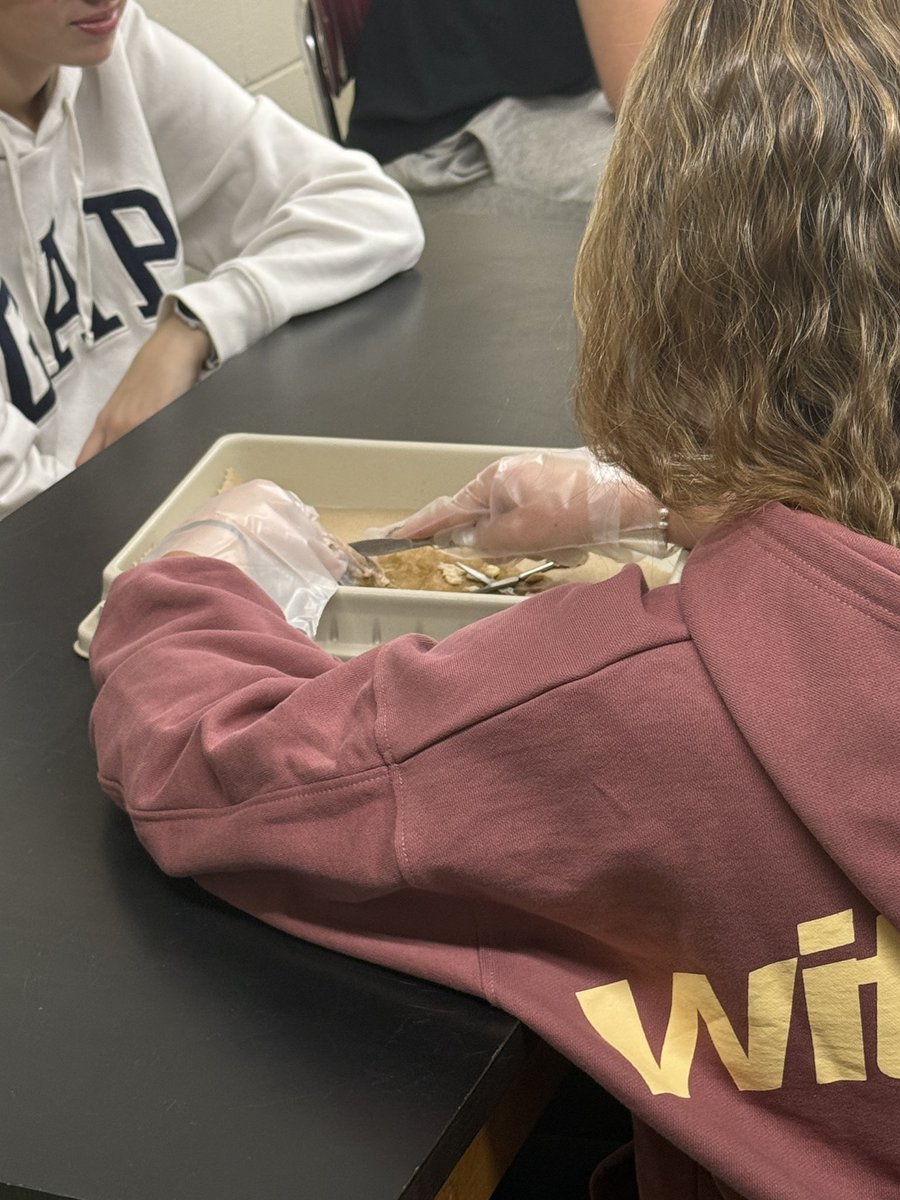 Lauren Neckin tweet media