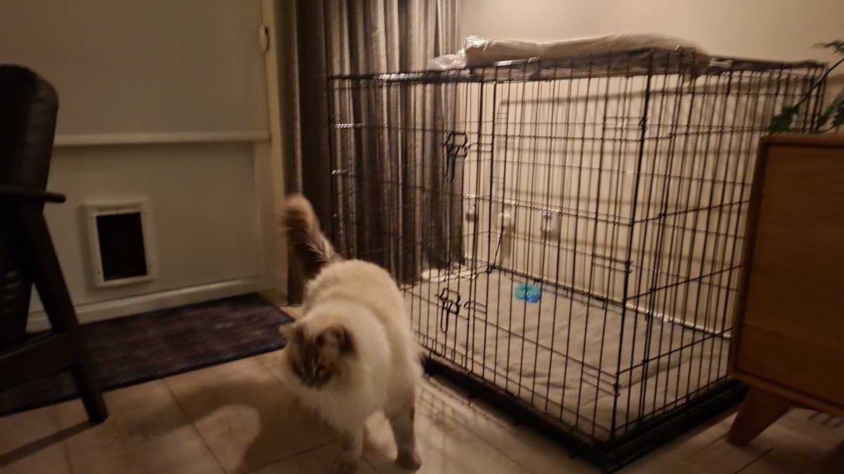 Henk.Verhoef tweet media