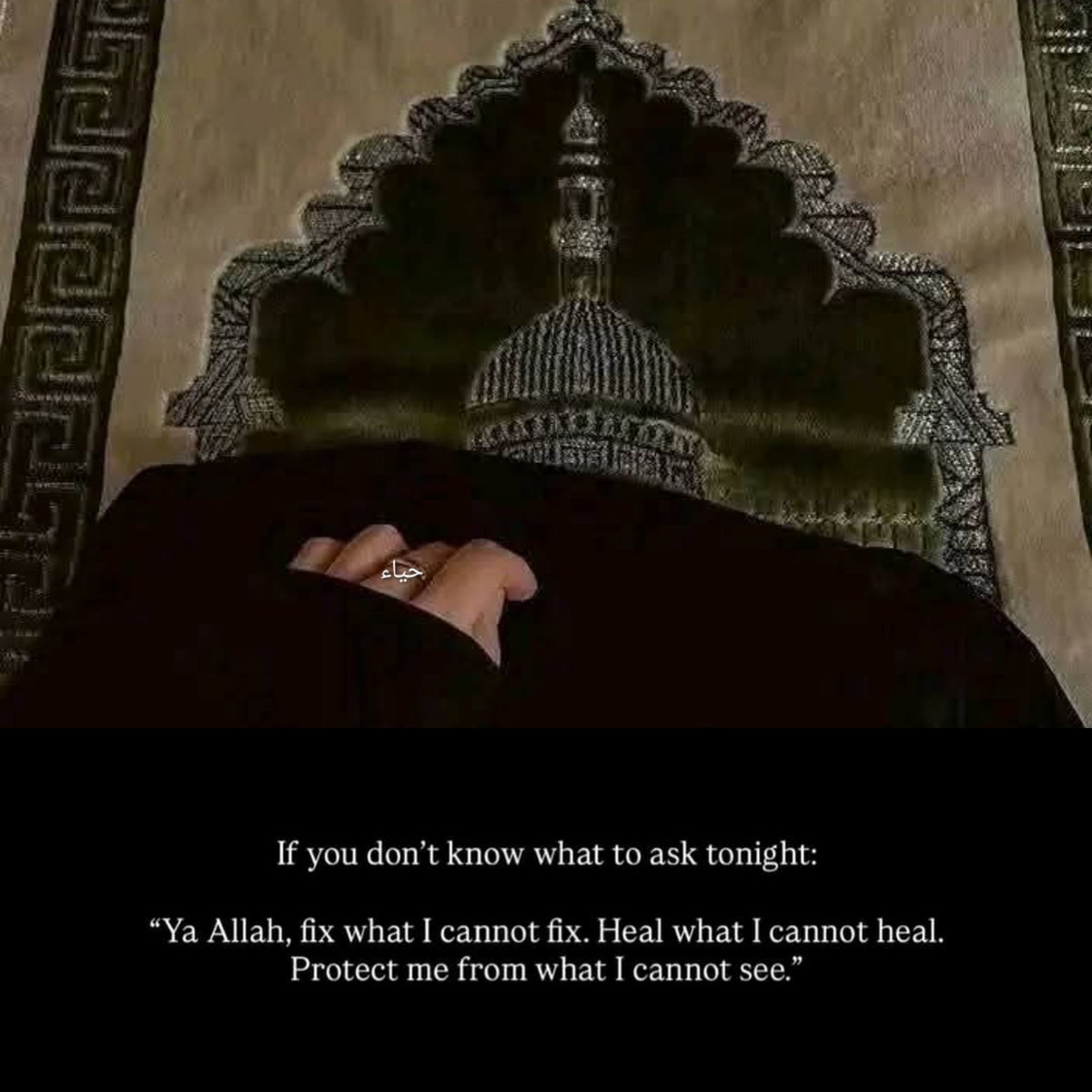 herqalb's tweet photo. https://t.co/q01B2BvdlU
