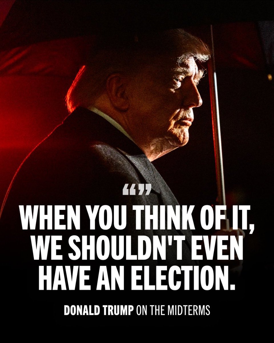 Before Donald Trump's second presidency, warnings that the US could become an authoritarian regime or even a dictatorship under his leadership were often dismissed with the argument that the country had strong institutions such as laws, Congress, and independent judges that would