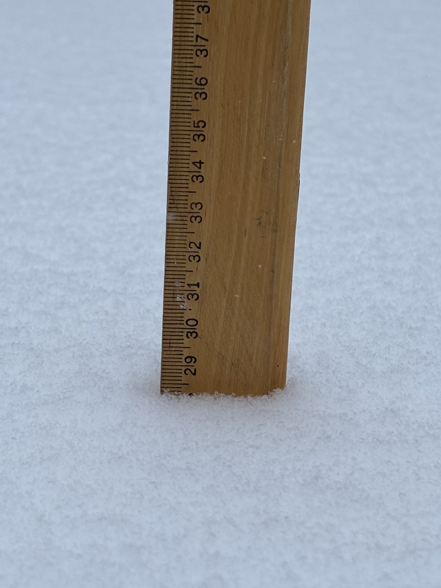 AnthonyFarnell's tweet photo. 28cm outside of the @globalnewsto studio in North York. https://t.co/Sl5sKmWHvS