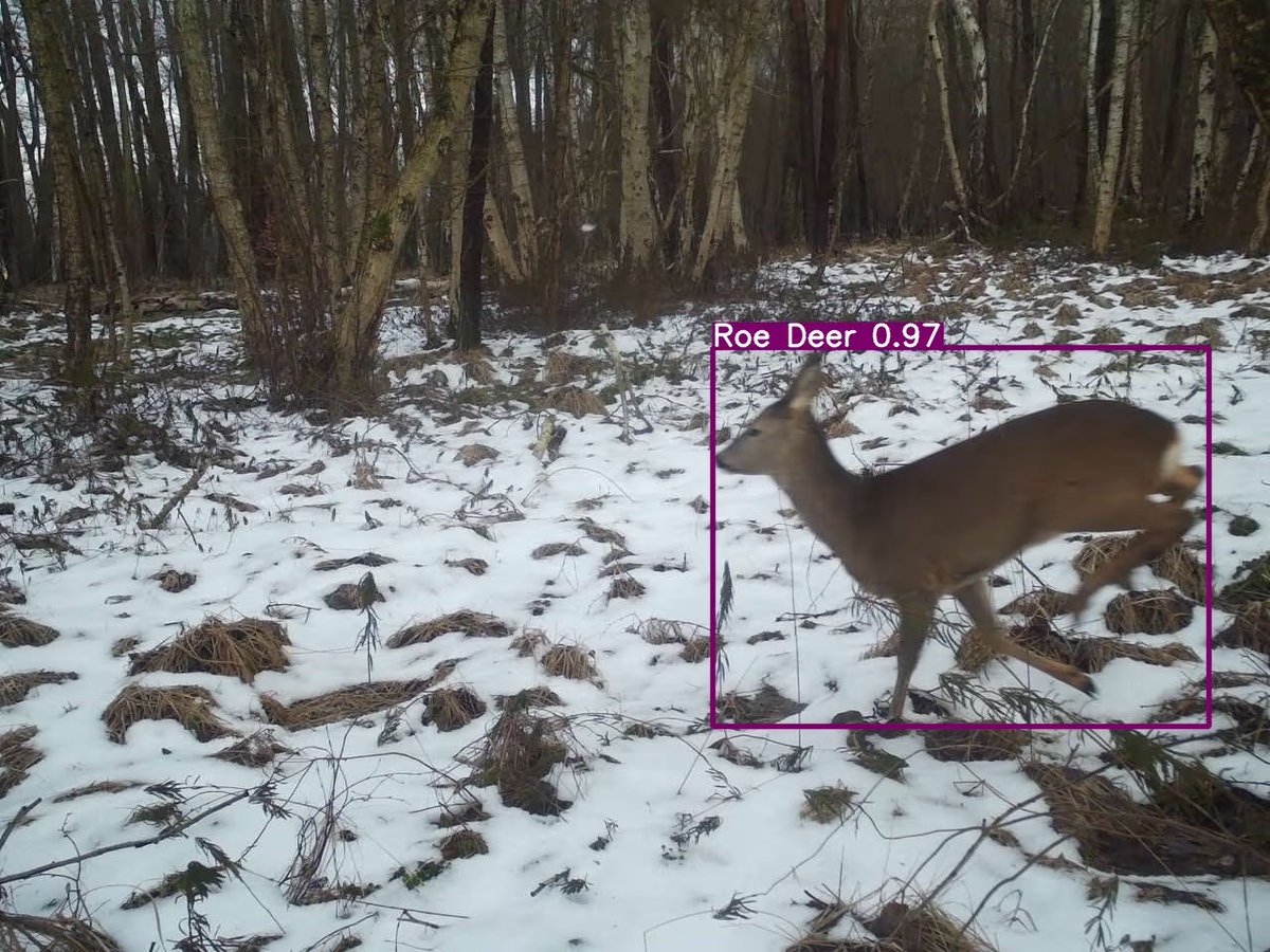 DuaneKing's tweet photo. Autonomous Forest
Plot: u329hvn5p
Trailcam: trailcam_01
Date: 2026-01-15 14:11:18
Signal: Very Weak(4G)
Battery: Full
Temperature: 7 degree Celsius(C)
Total photos: 253, Total videos:0
Total space: 29807M, Free space:29426M
IMEI/MEID: 862757059901761 https://t.co/znSd559syk