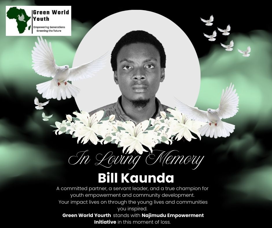 GREEN WORLD YOUTH tweet media