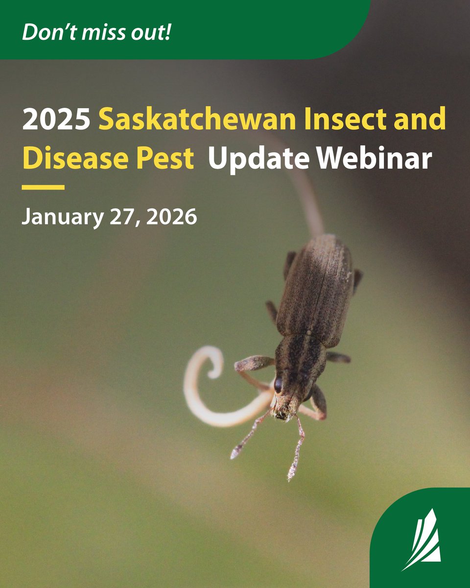 Sask Agriculture tweet media