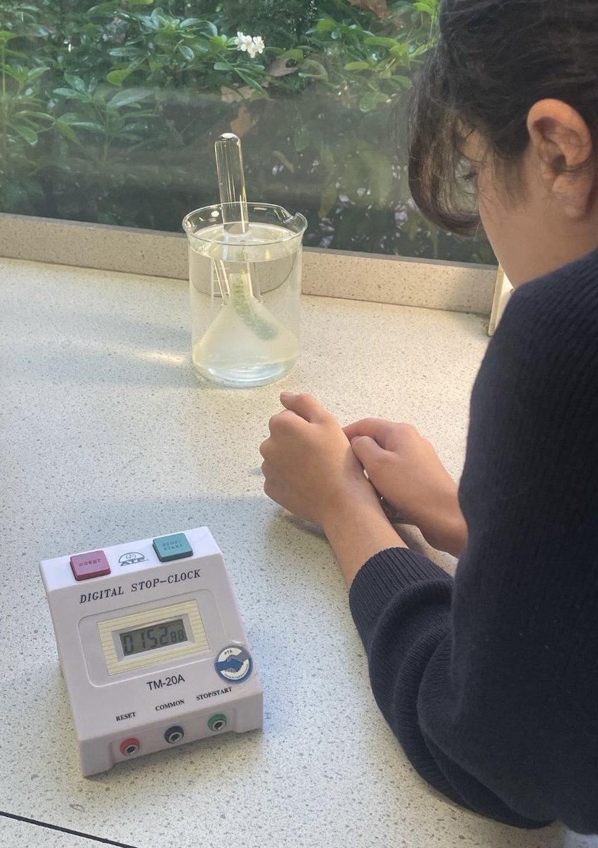 PTA of Charles Darwin School tweet media