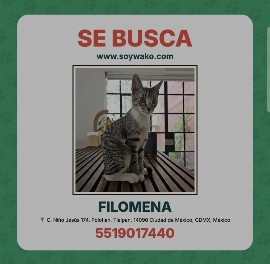 Marumar 🌺 tweet media