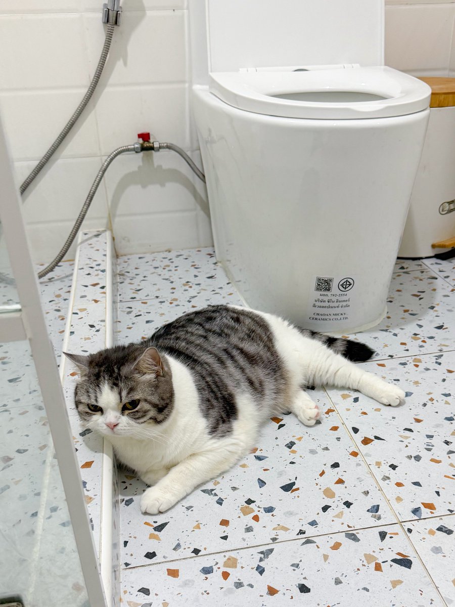 แล้วทำไมเข้าห้องน้ำดึกๆต้องเจอพิตลอดดด