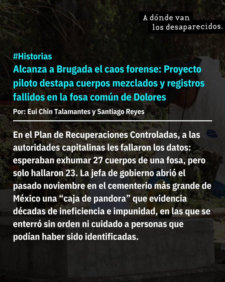 adondevanlosdesaparecidos.org tweet media