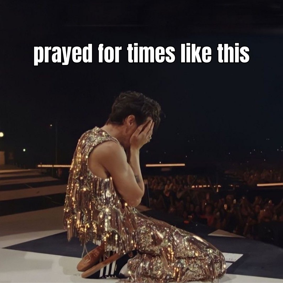 gopher chicks tweet media