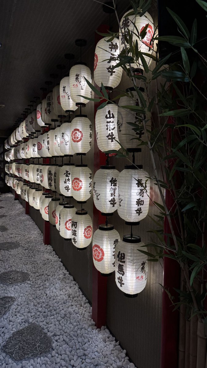 Black. (@blackdreamvibes) on Twitter photo 