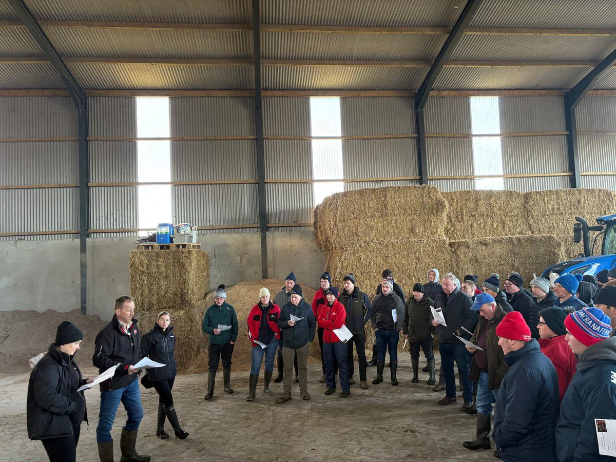 Quinns of Baltinglass tweet media