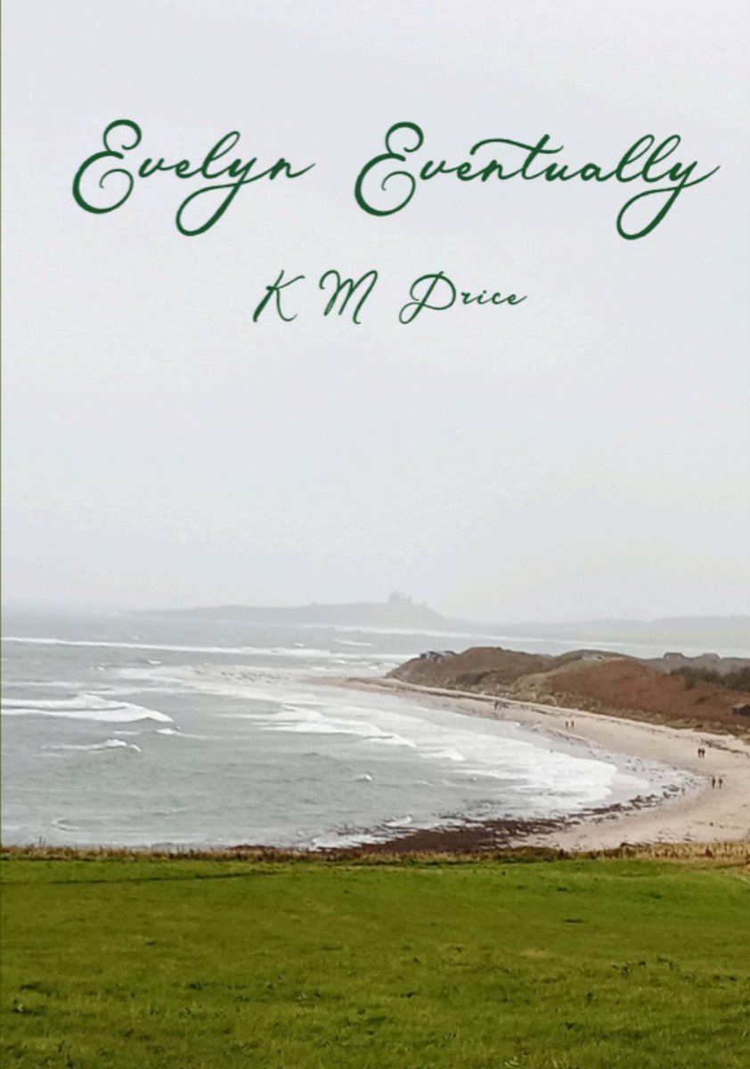 Hoping for the perfect fresh start, Evelyn Forbes heads north. Armed with Daisy, her dog, and enough money to buy a house, she searches for her perfect home, but instead finds Jane, not quite as friendly as she’d hoped for. #womaninbizhour #firsttmaster 
greencatbooks.com/k-m-price