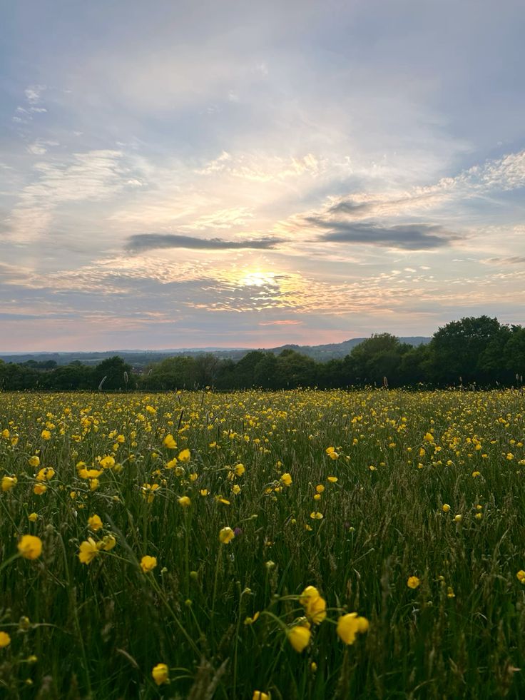 greenvibe's tweet image. 