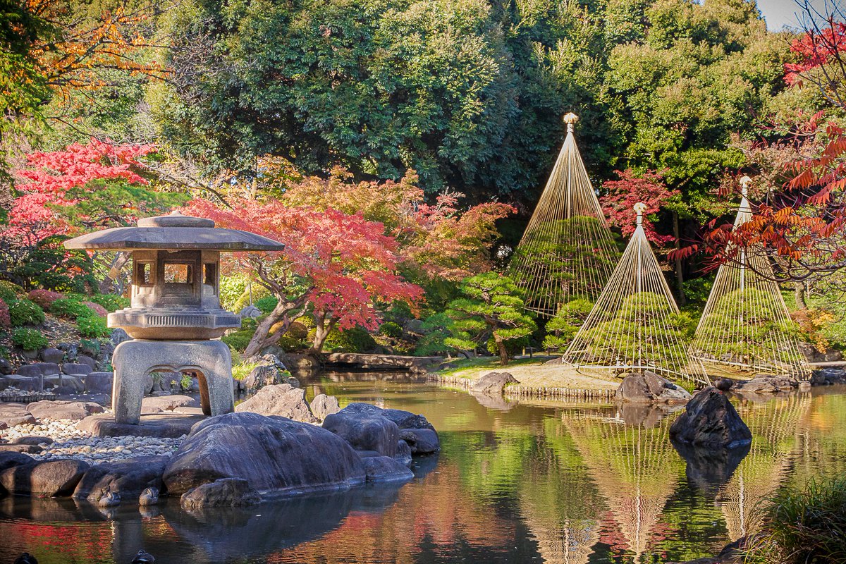 iardacil's tweet photo. Autumn colors in Tokyo, 2024 https://t.co/bRDmYQlcQf