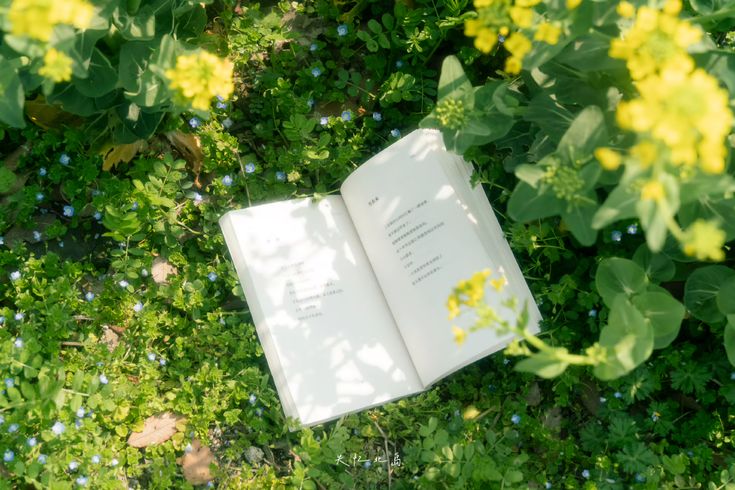 greenvibe's tweet image. 