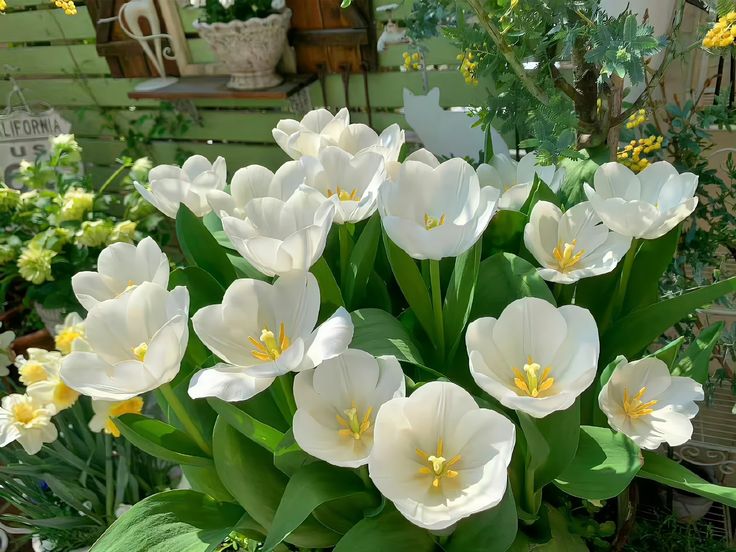 greenvibe's tweet image. 