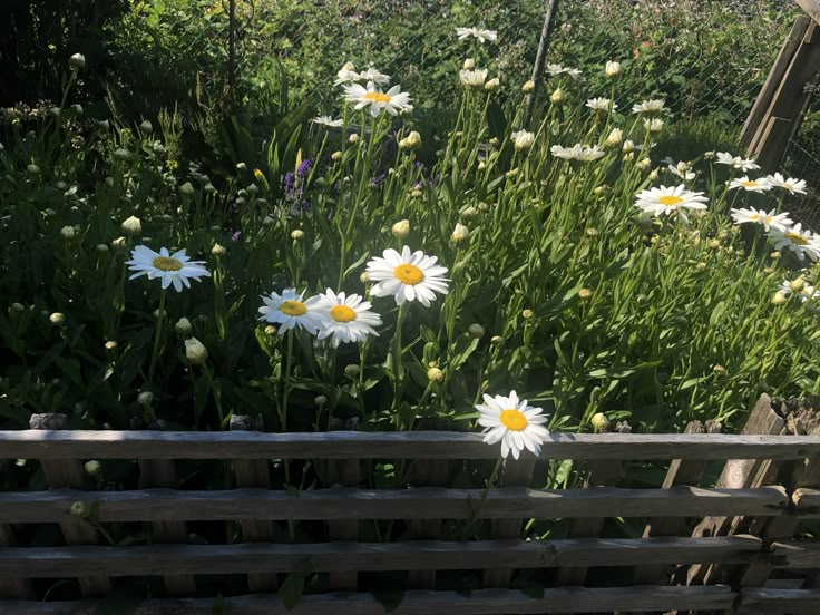 greenvibe's tweet image. 