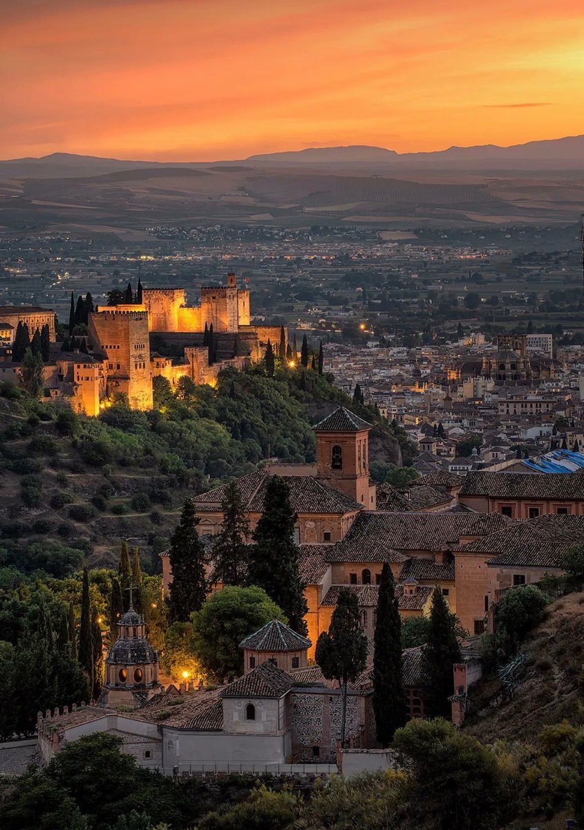 WORLD 2026 🌊 tweet media