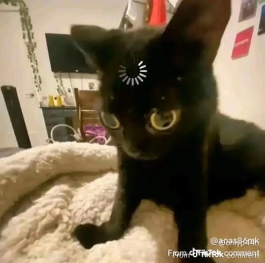 wx 🇲🇦 tweet media