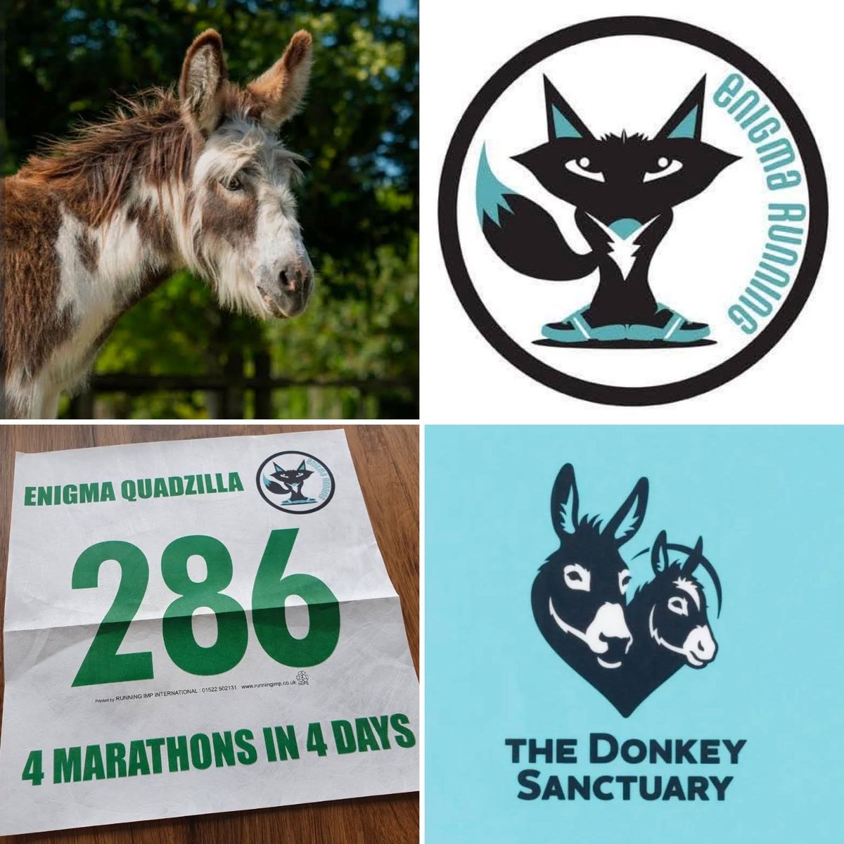 Clive Poole 🫏 tweet media