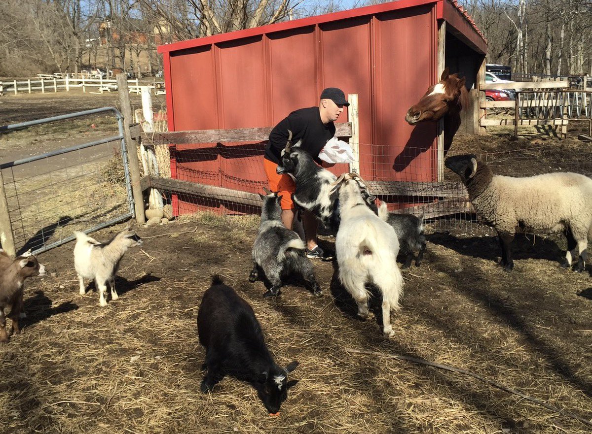 nascarcasm tweet media