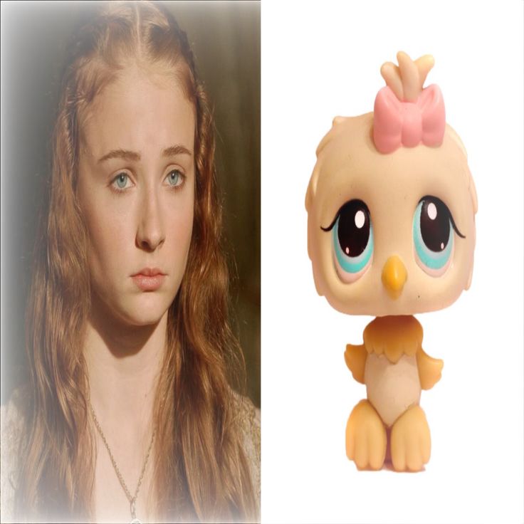 doktordoof's tweet image. martin bu garibana lütfen dokunma zaten çok acı çekti