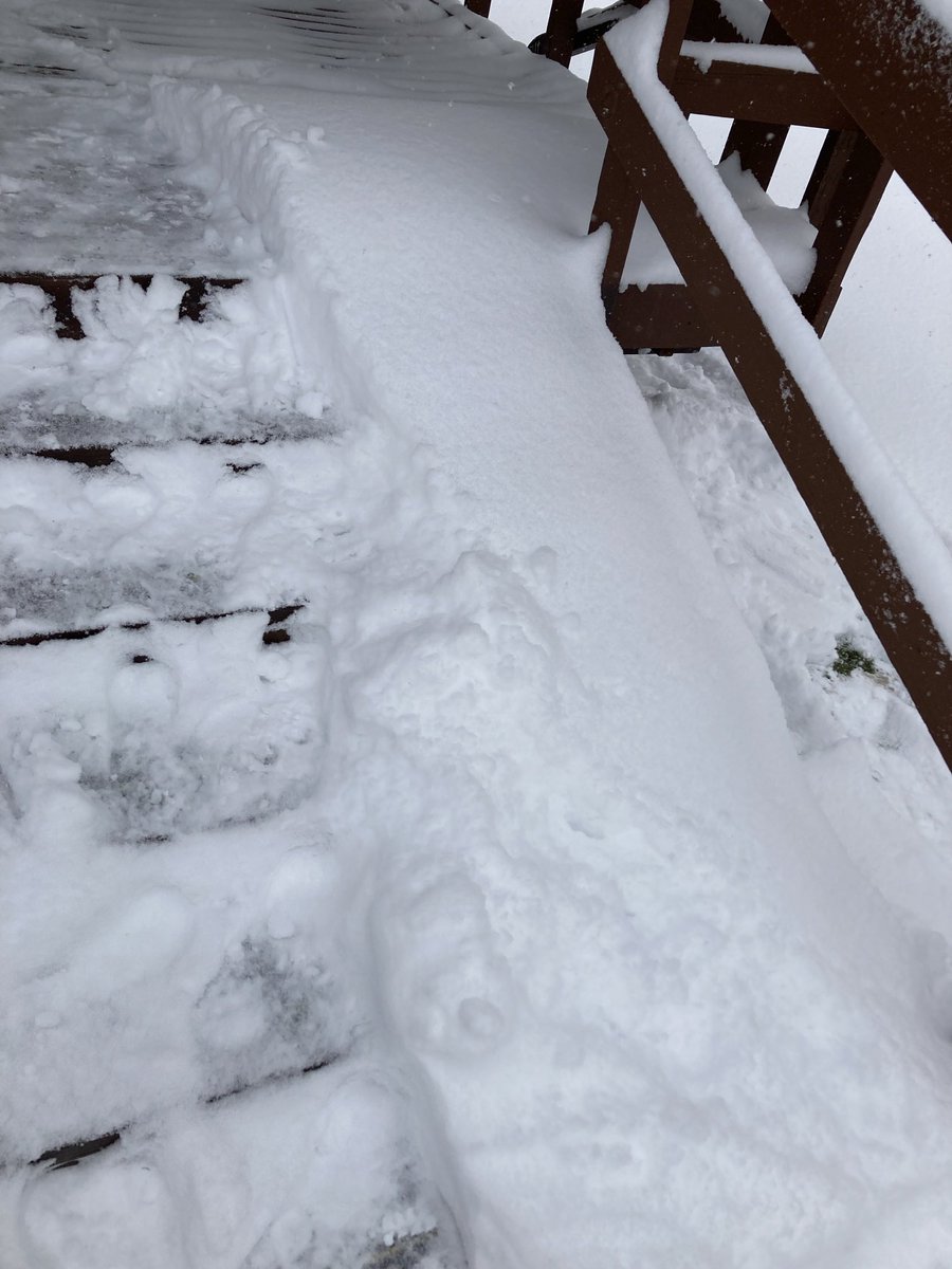 Oh my gosh…one pic is from this morning at the top of the deck steps &amp; the other is after shoveling 1/2 of the steps.
Still snowing. My poor Lorna. I’m doing what I can &amp; she’s a good girl. 💜
